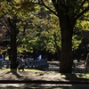 秋の公園はちょっとおしゃれに