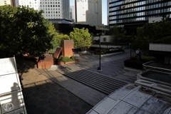 朝の散歩道 －７