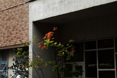 神宮前界隈 －６