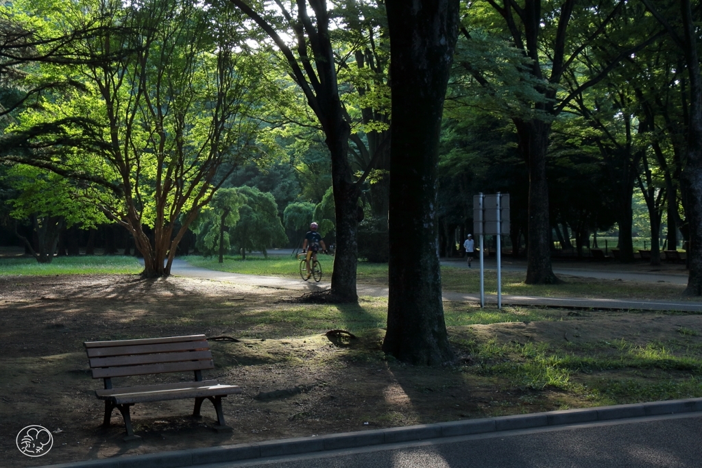 公園に朝が来た