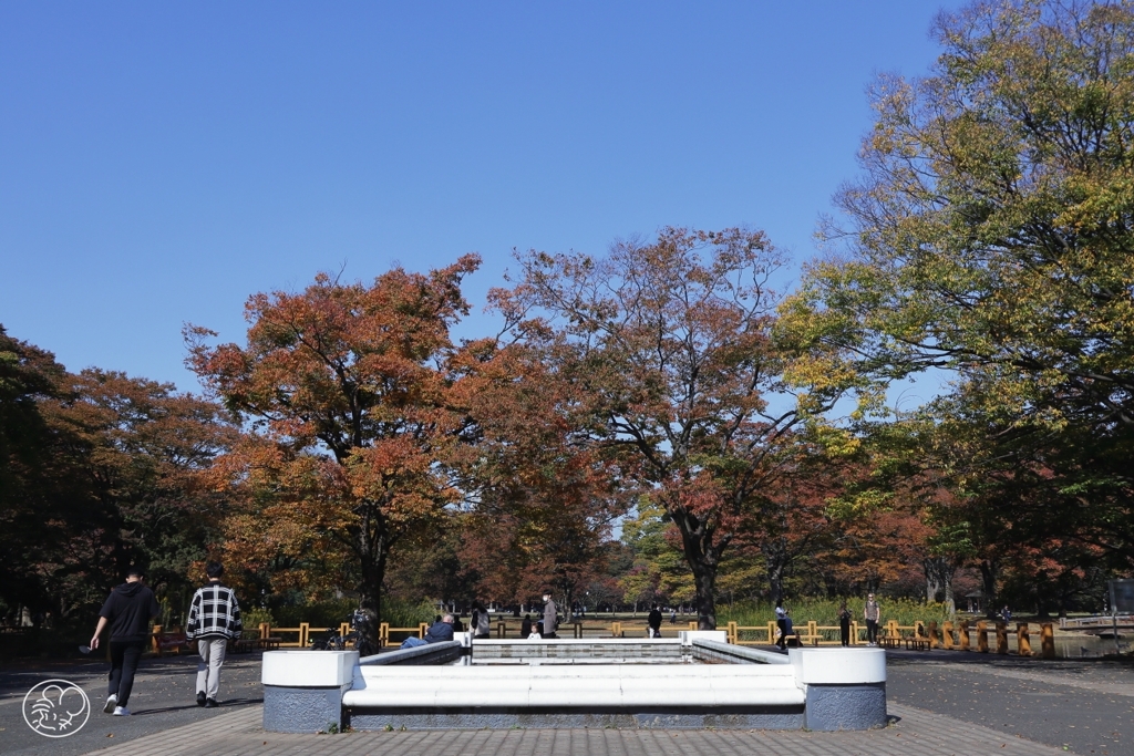晩秋公園　１