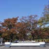 晩秋公園　１