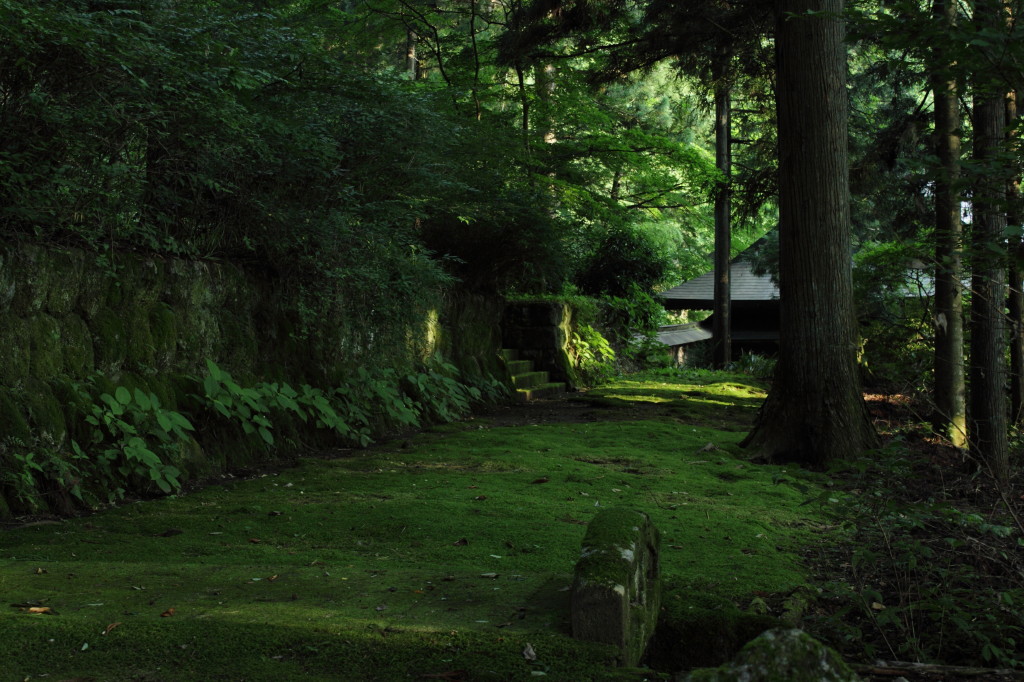 苔むす境内