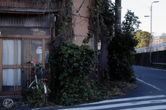 北十間川界隈
