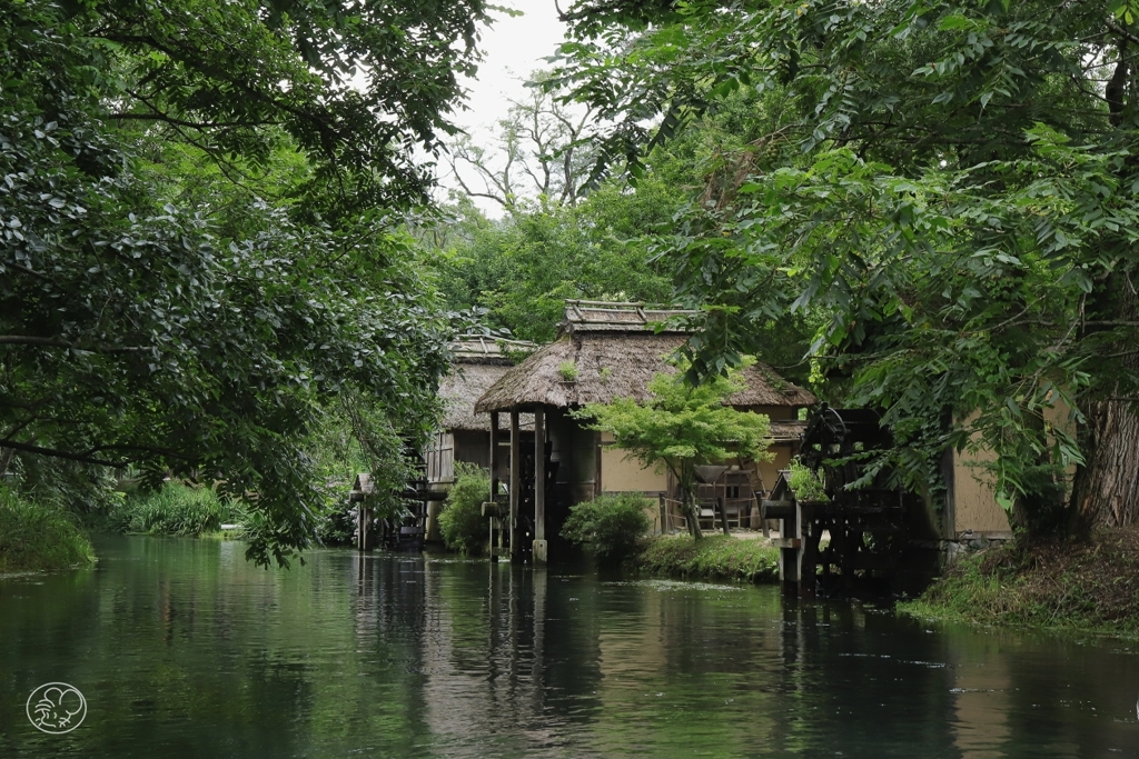 蓼川　３