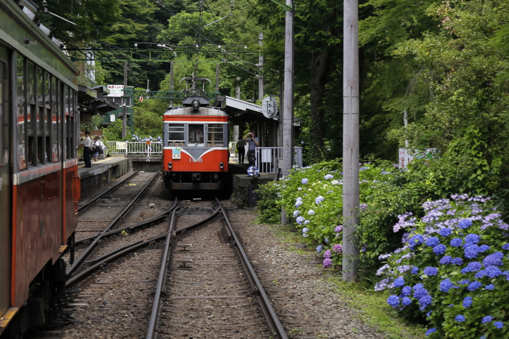 箱根は今