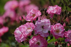 フェア・プレイ