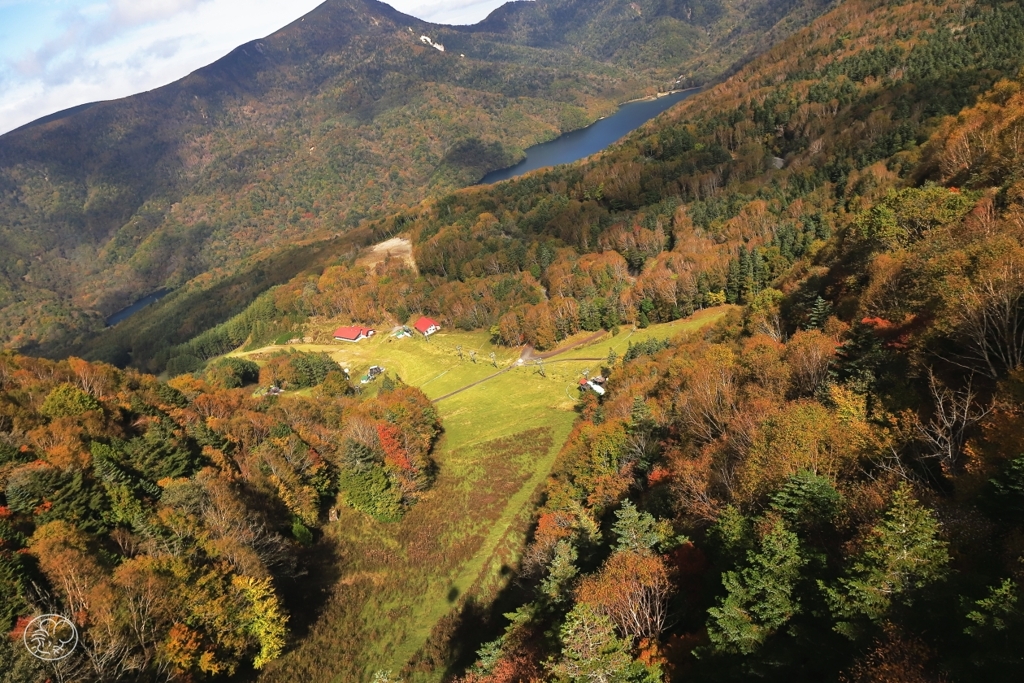 丸沼高原