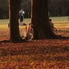 公園の秋　９