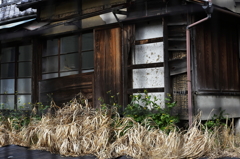 荒廃