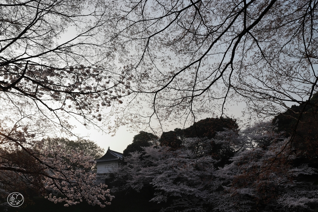 明けの空