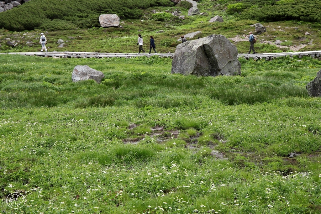 特別な散歩道