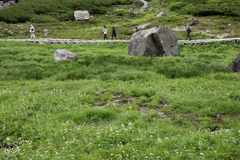 特別な散歩道