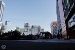 朝の散歩道 －１１