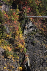 吊り橋を秋が襲う