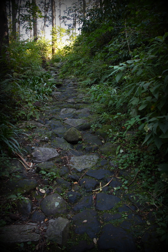 箱根旧東海道石畳