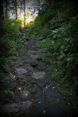 箱根旧東海道石畳
