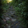 箱根旧東海道石畳