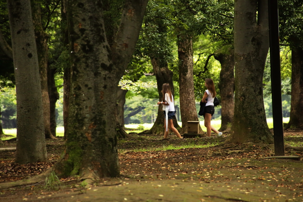 公園を歩こう