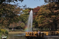深秋の公園