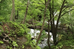 湯川　１
