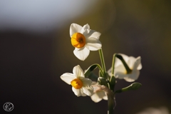 静かな冬の日 －３