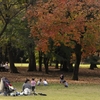 晩秋公園　１