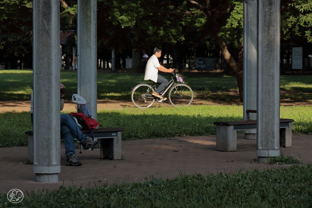 公園では自由に