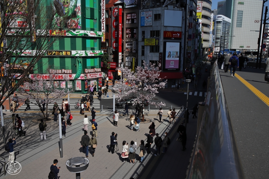 新宿駅東南口広場－１
