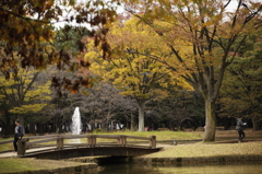 公園も色づく