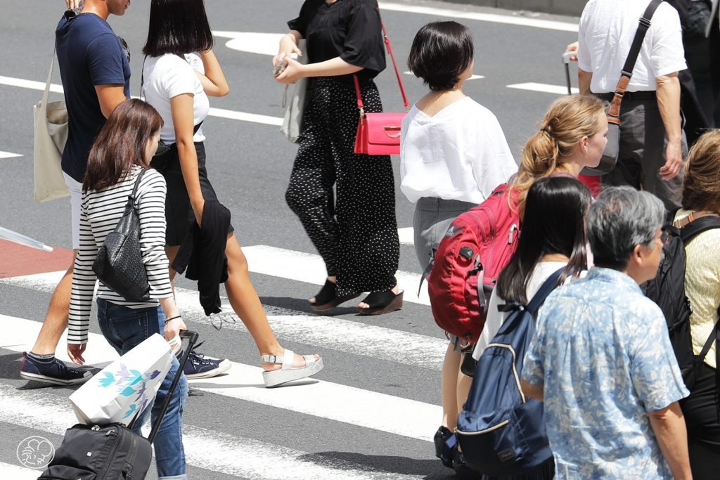 夏が来た　３
