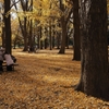 去秋公園　５