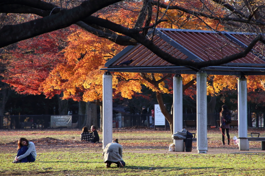 公園の人々－２１