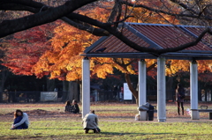 公園の人々－２１