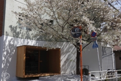 代官山界隈　６