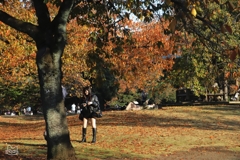 紅葉に集まる　１