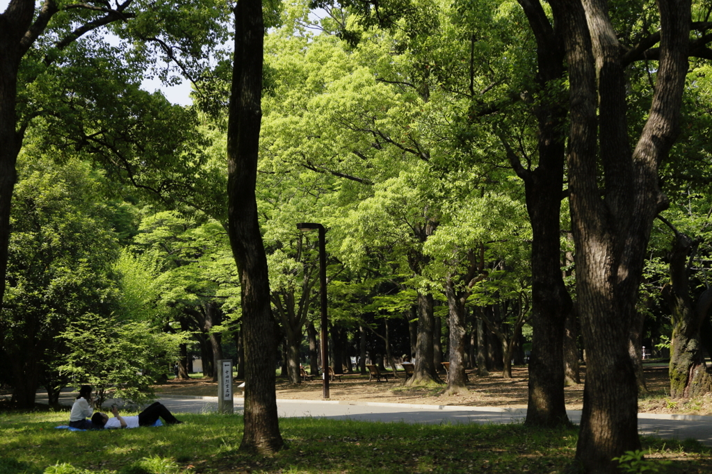 日々平穏