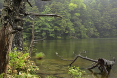 明神一之池　２