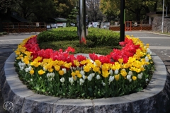 そして街は －１８