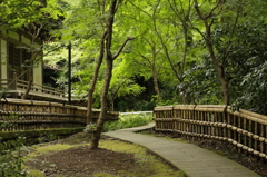 逍遥の道