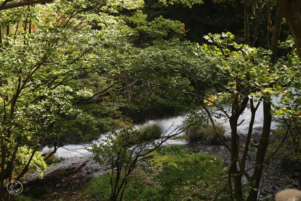湯滝　２