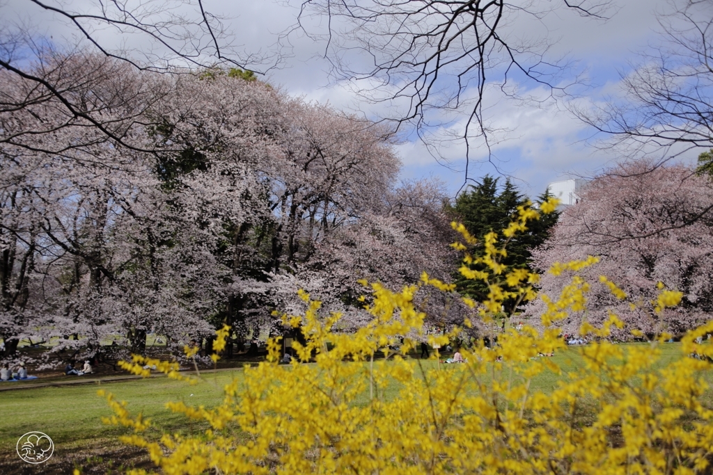花また花