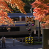 １２月の北鎌倉