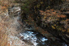 丹波山村の多摩川