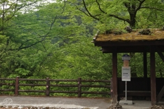 白骨温泉のバス停