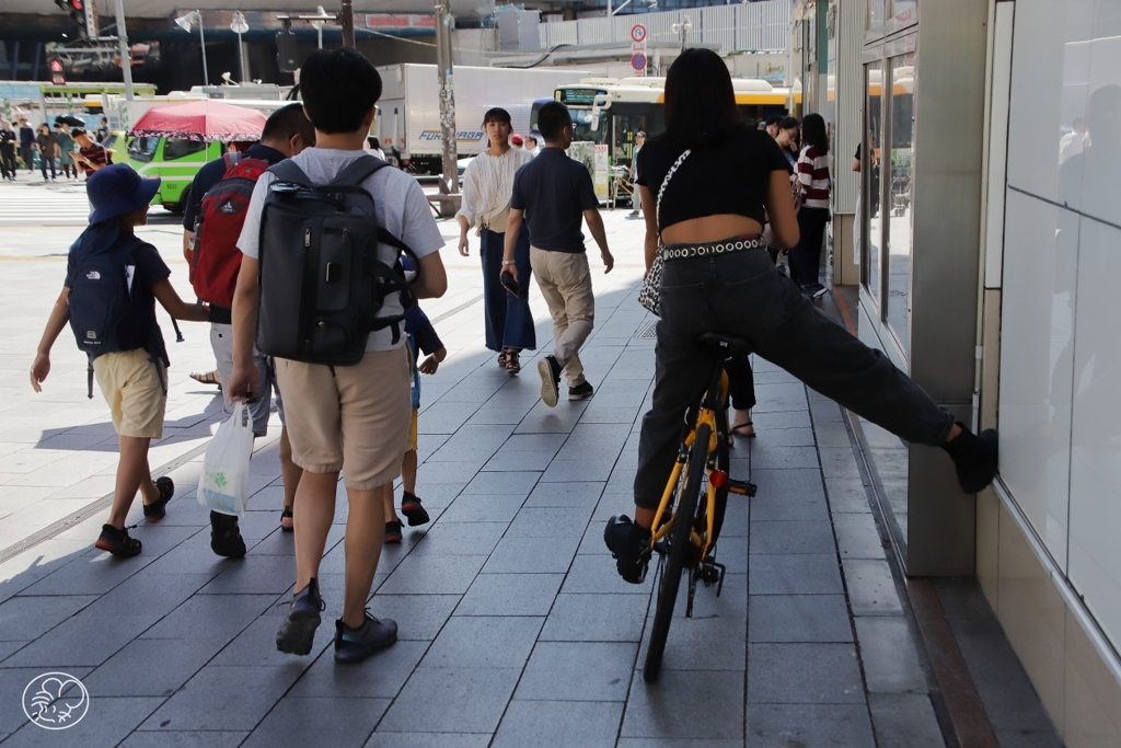 日陰を選ぶ