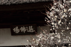 芳しき