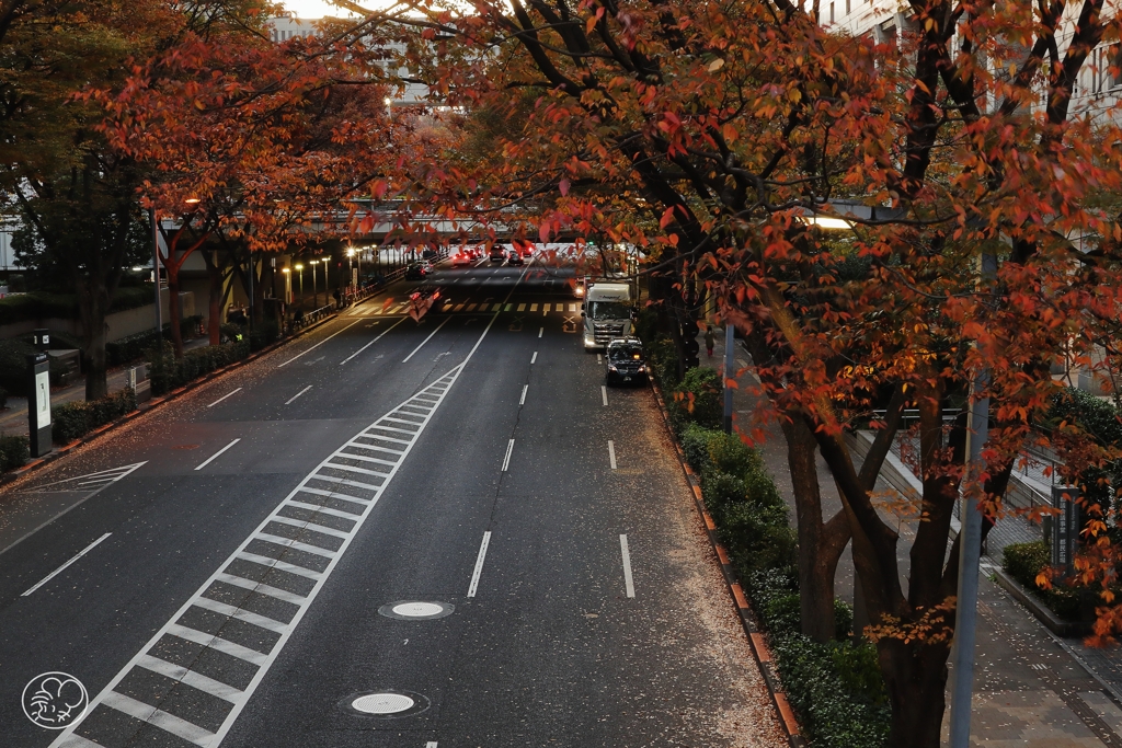 西新宿も晩秋