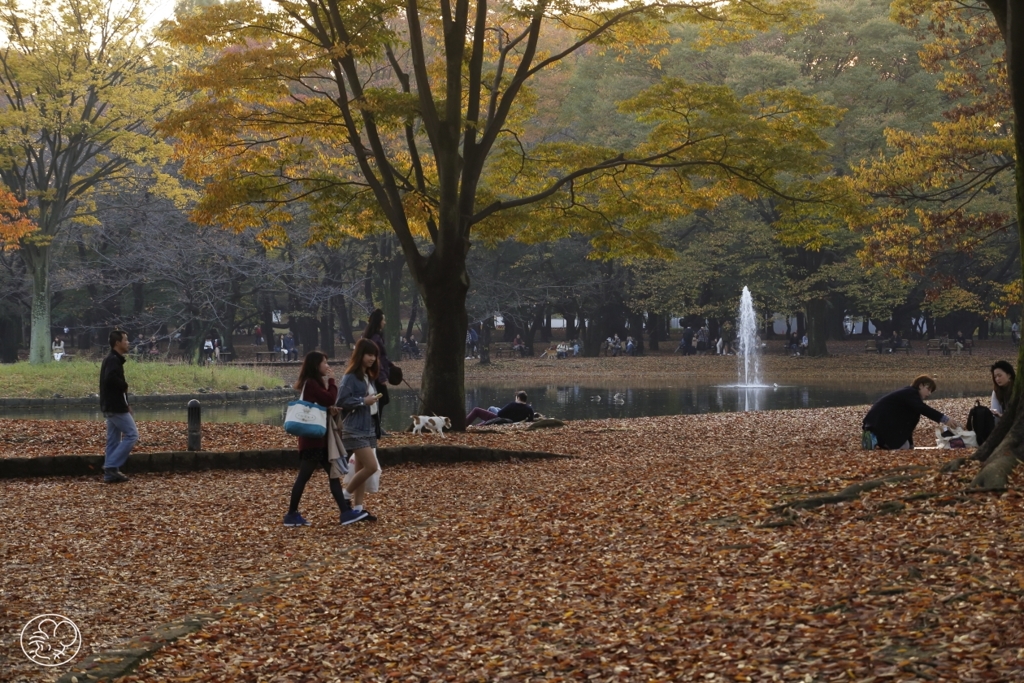 晩秋公園　３