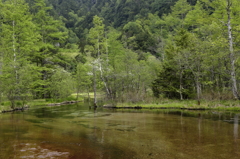 田代池